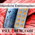 Männliche Erektionspillen 44